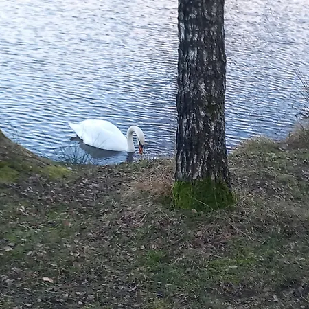 Kleine Auszeit Holiday home