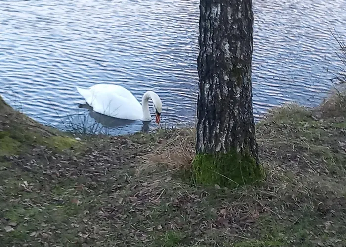 Kleine Auszeit 別荘