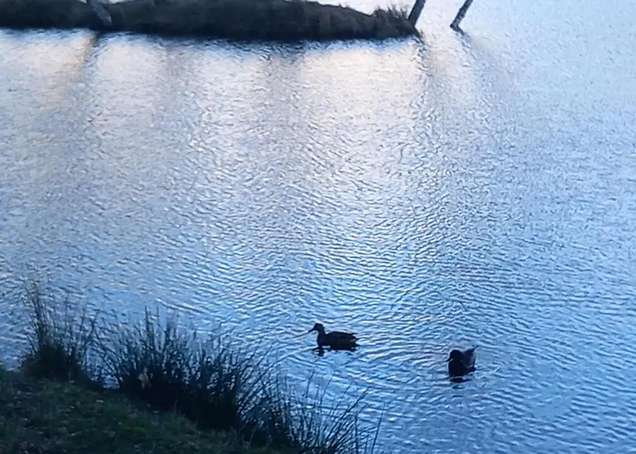 Kleine Auszeit 別荘 *